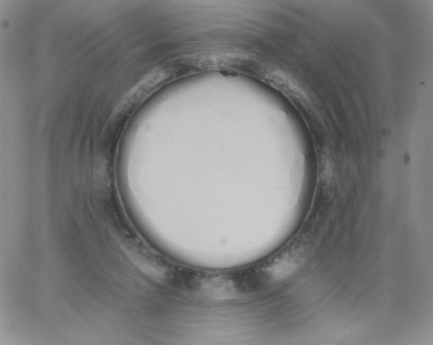 X0000062900258200602031839