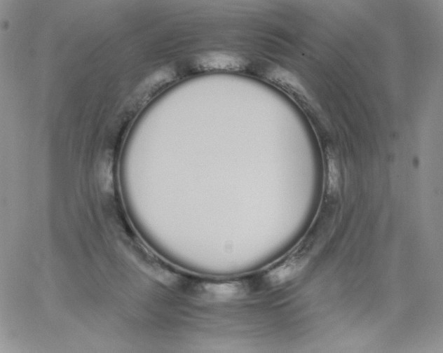 X0000062900259200602031839