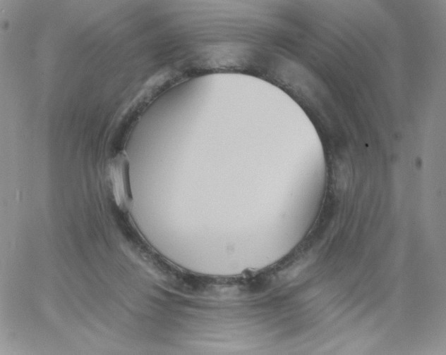 X0000062900260200602031839