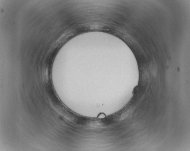 X0000062900262200602031839