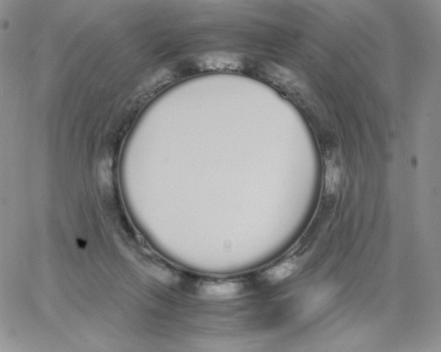 X0000062900263200602031839