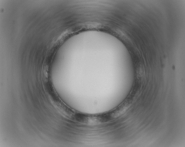 X0000062900264200602031839