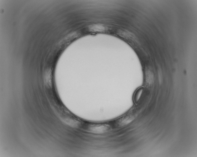 X0000062900267200602031839