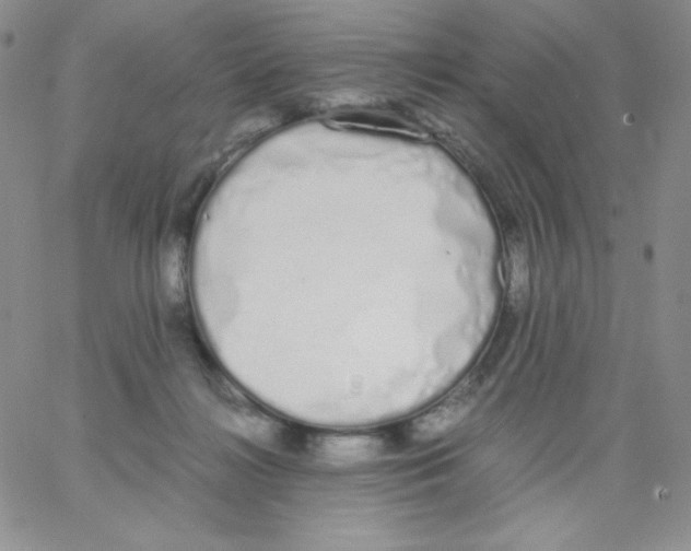 X0000062900268200602031839