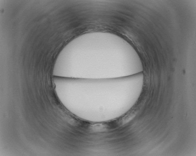 X0000062900269200602031839