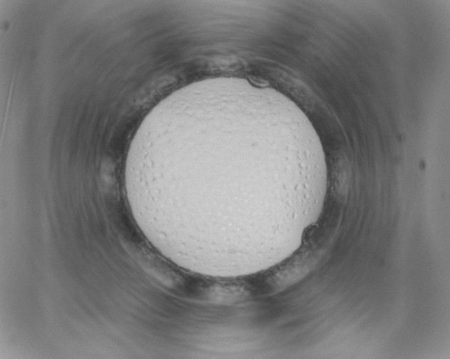 X0000062900270200602031839