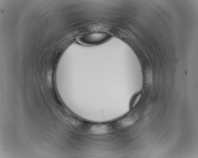 X0000062900271200602031839