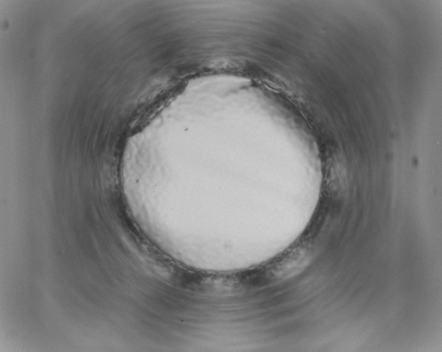 X0000062900272200602031839