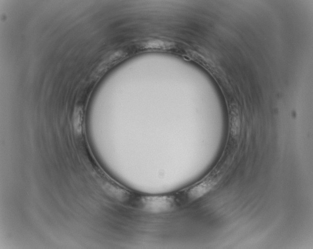 X0000062900273200602031839