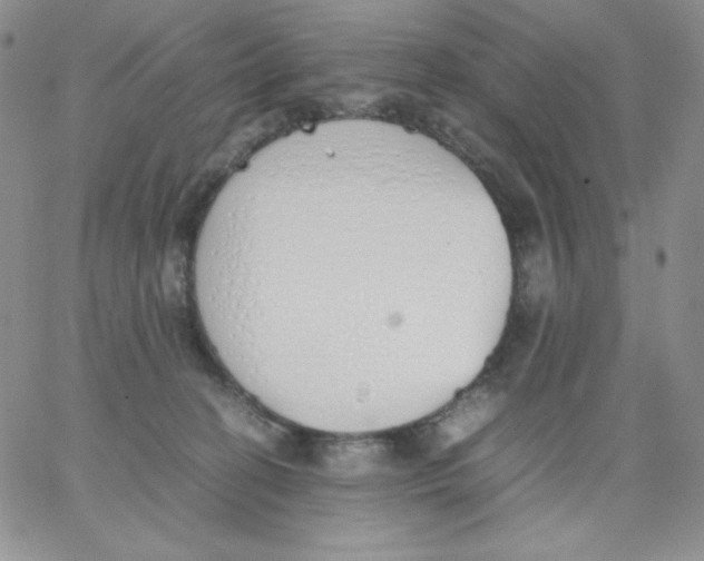 X0000062900274200602031839