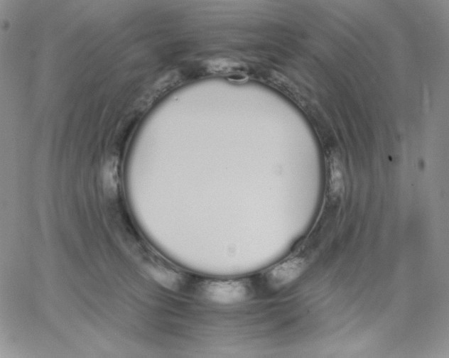 X0000062900275200602031839