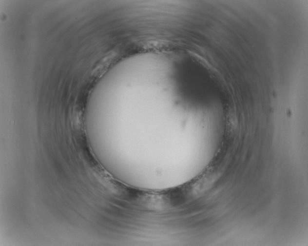 X0000062900276200602031839