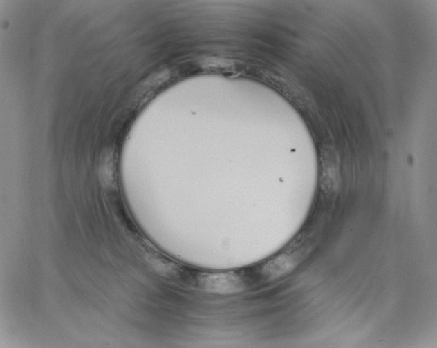 X0000062900277200602031839