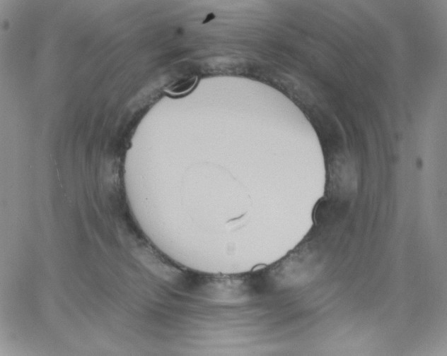 X0000062900278200602031839