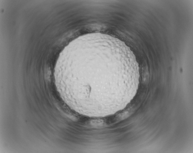 X0000062900279200602031840