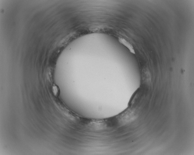 X0000062900280200602031840