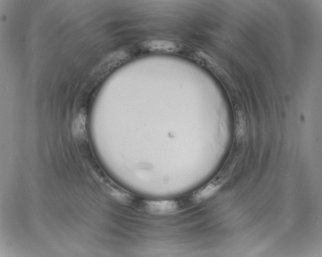 X0000062900281200602031840