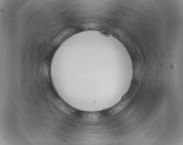 X0000062900282200602031840