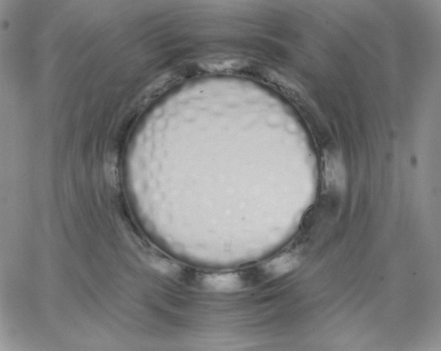 X0000062900283200602031840