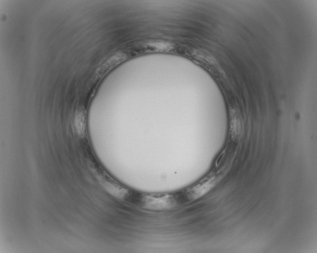 X0000062900285200602031840