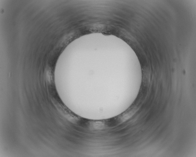 X0000062900287200602031840