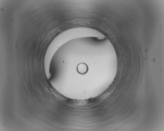 X0000062900288200602031840