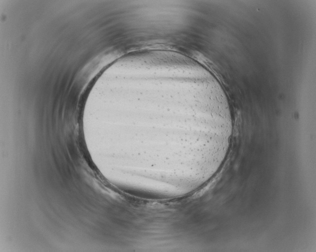 X0000062900290200602031839