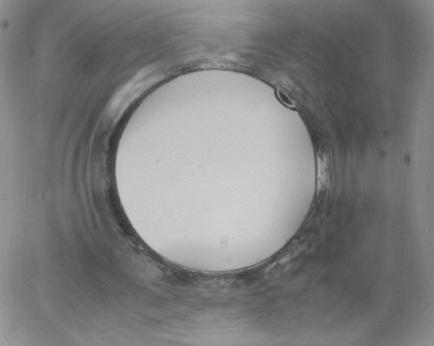 X0000062900291200602031839