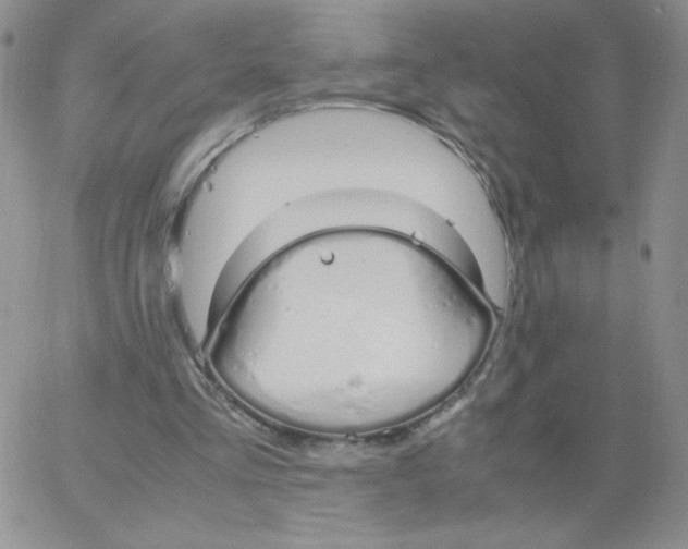 X0000062900293200602031839