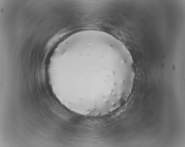 X0000062900294200602031839