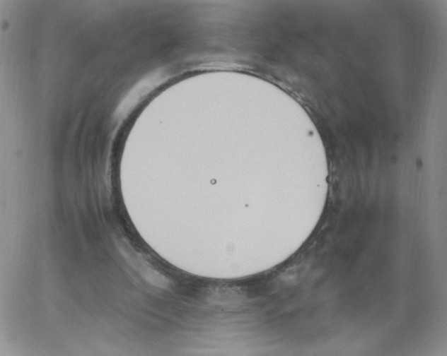 X0000062900296200602031839