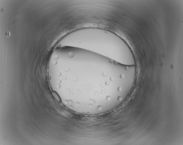 X0000062900297200602031839