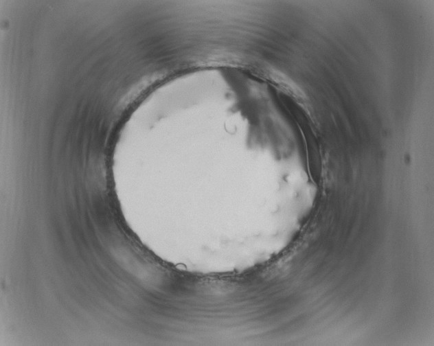 X0000062900298200602031839