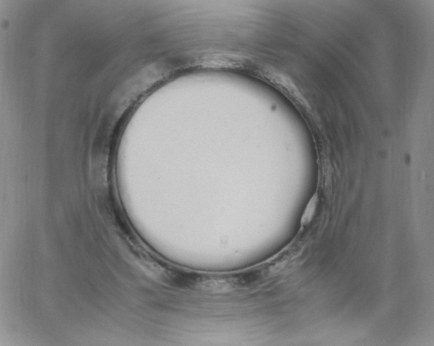 X0000062900299200602031839