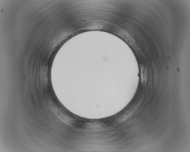 X0000062900300200602031839