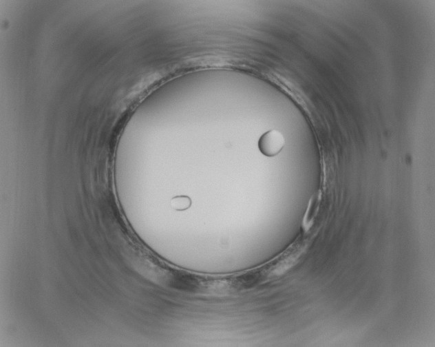 X0000062900301200602031839