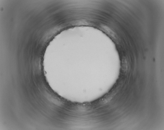 X0000062900302200602031839