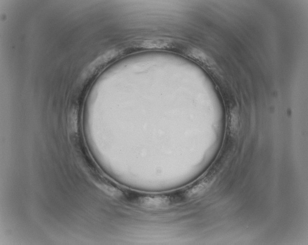 X0000062900303200602031839