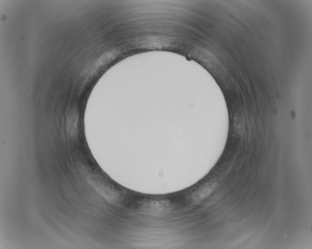 X0000062900304200602031839