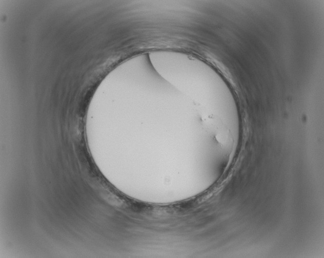 X0000062900305200602031839