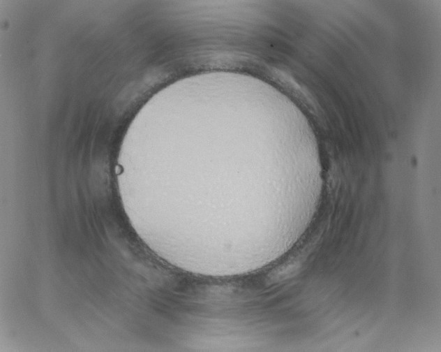 X0000062900306200602031839