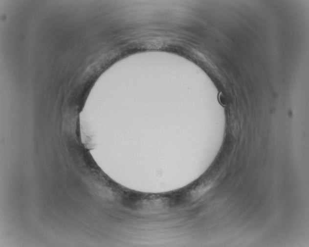 X0000062900307200602031839