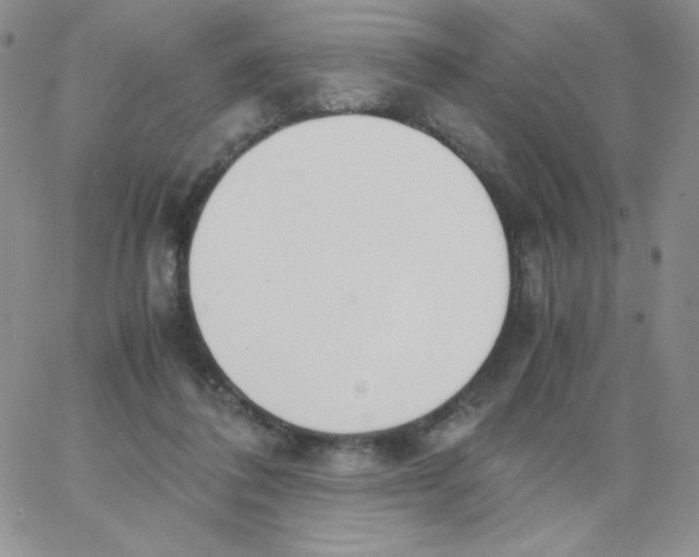 X0000062900308200602031839