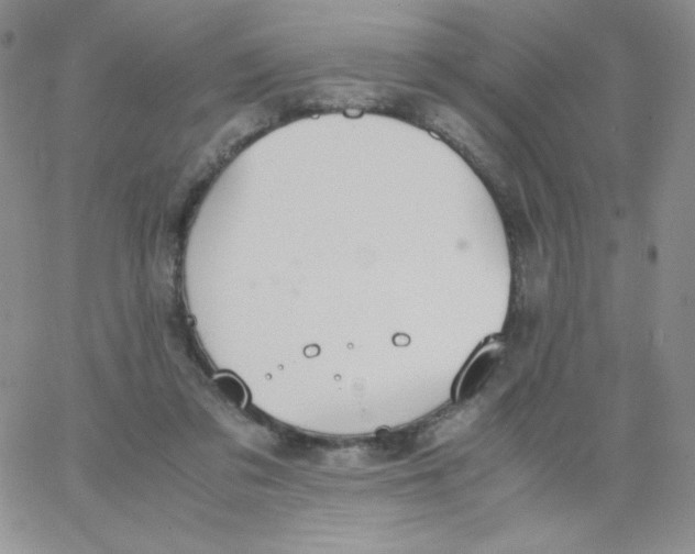 X0000062900309200602031839