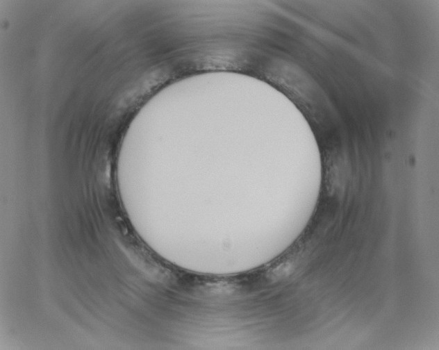 X0000062900310200602031839