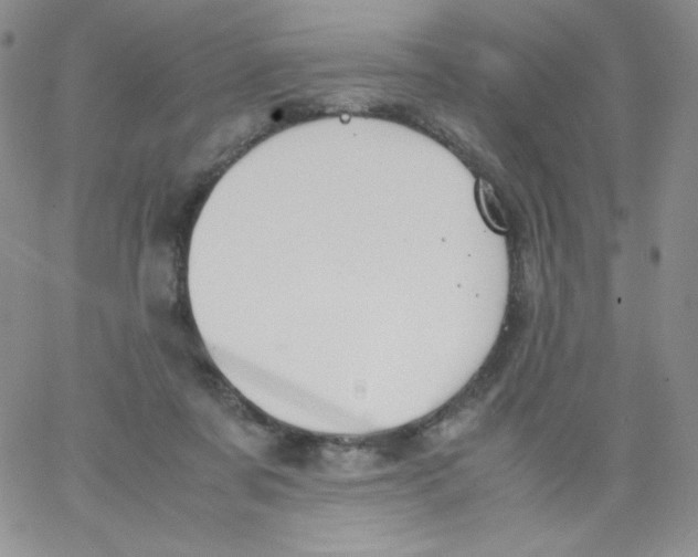 X0000062900311200602031839