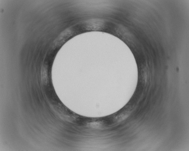 X0000062900312200602031839