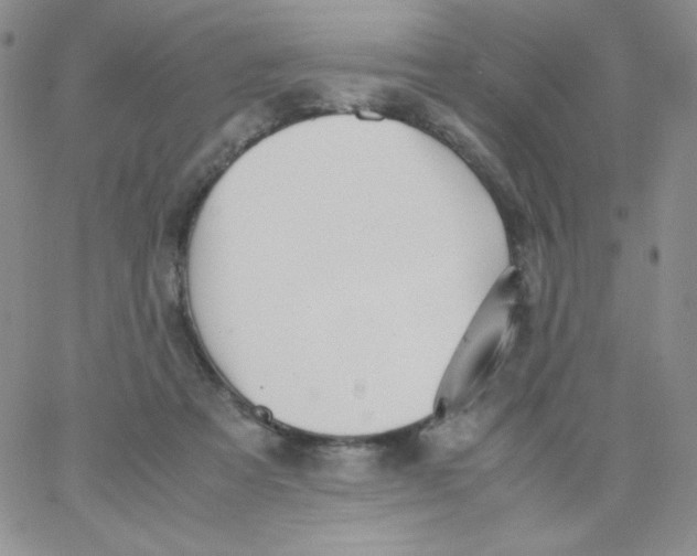 X0000062900313200602031838