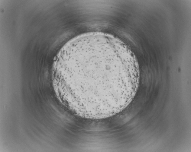 X0000062900314200602031838