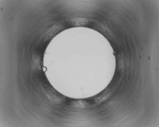 X0000062900316200602031838